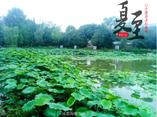 夏至|讓我們和盛夏美景撞個(gè)滿懷(1)126 夏至|讓我們和盛夏美景撞個(gè)滿懷(1)126