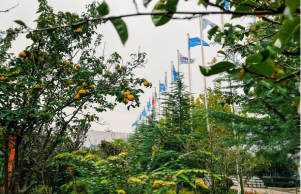 2025051023 海螺新材的秋日畫卷(1)(1)186 2025051023 海螺新材的秋日畫卷(1)(1)186