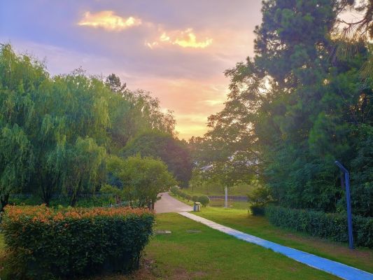 宣城海螺王明，油畫_副本