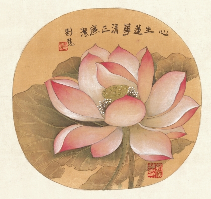 繪畫(huà)作品：心生蓮花清正廉潔